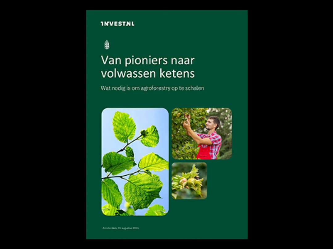 Van pioniers naar volwassen ketens